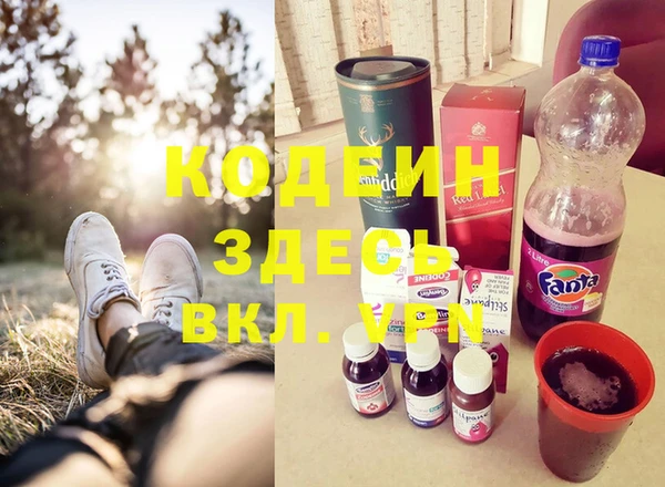 стаф Щигры