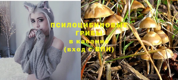 метадон Нея
