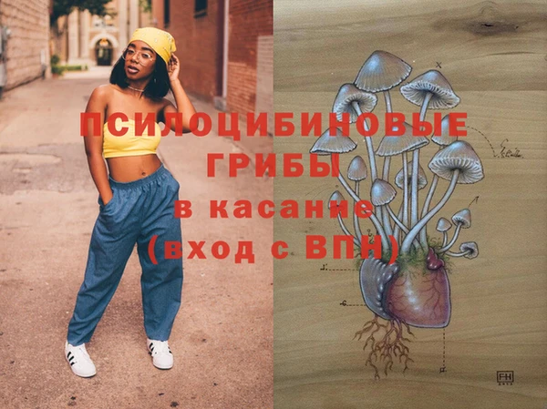 тгк Нефтекумск