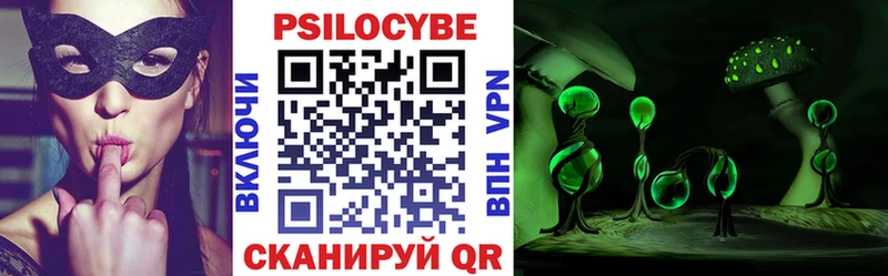 Псилоцибиновые грибы Psilocybine cubensis  цена   Ермолино 